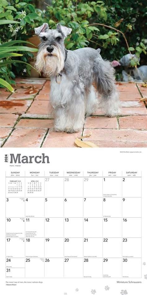 Buy Miniature Schnauzer Calendar 2024 Order Easily Online