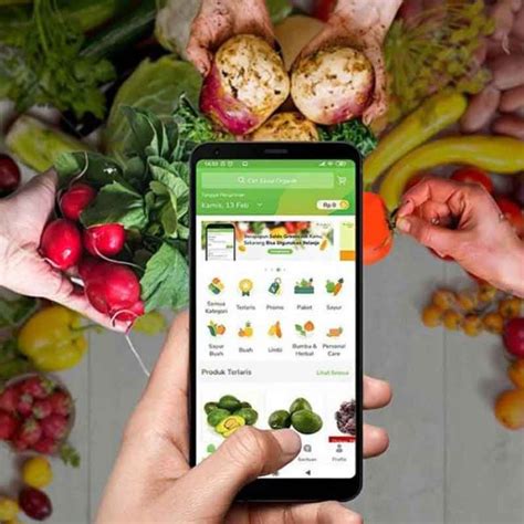 Aplikasi Belanja Sayur Online Mudah Dan Gak Repot