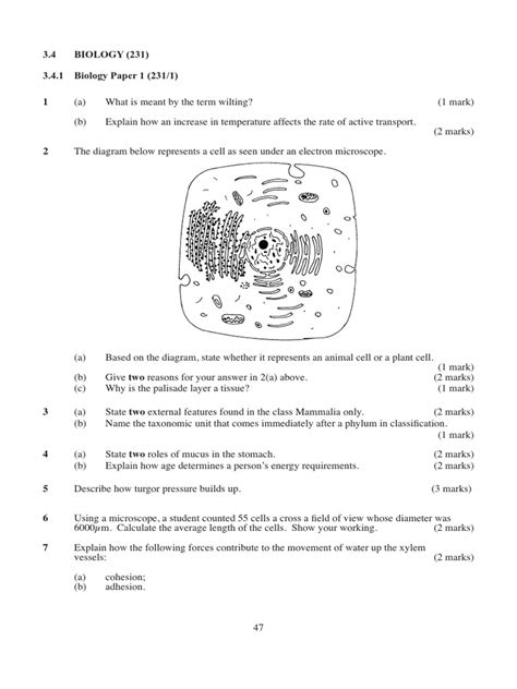 Biology Paper1 Questions And Answers Kcse 2013 Leaf Organisms