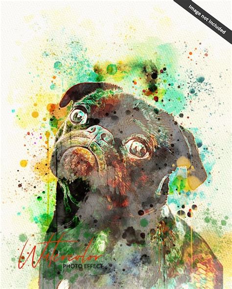 Una Pintura De Acuarela De Un Perro Pug Con Las Palabras Remolino En El