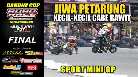 Roadrace Aksi Gemesin Bocil Road Race Mini Gp Calon Tarung Road