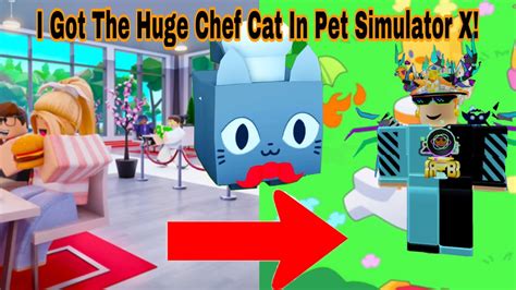 I Got The HUGE CHEF CAT In Pet Simulator X Roblox YouTube