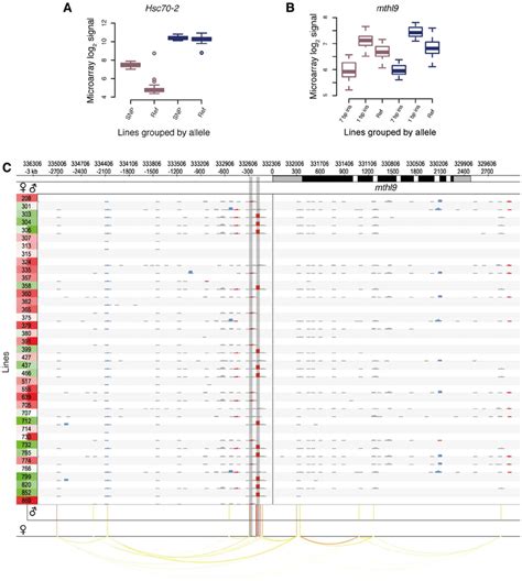 Examples Of Cis Eqtls And Their Associated Genes Dgrp Lines In A Download Scientific