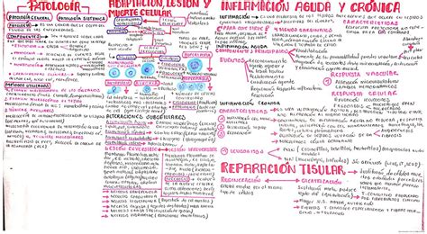 Anatomía patológica Apuntes y Resúmenes médicos uDocz