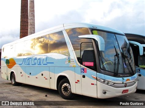 Transportadora Turística Natal 1580 em São Paulo por Paulo Gustavo ID