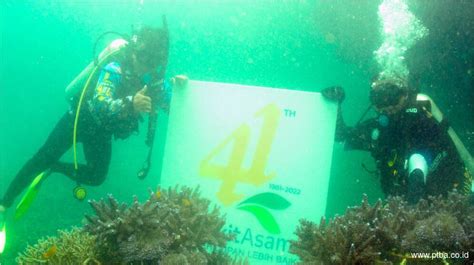 Jaga Ekosistem Laut Bukit Asam Tanam Terumbu Karang Pt Bukit Asam Tbk