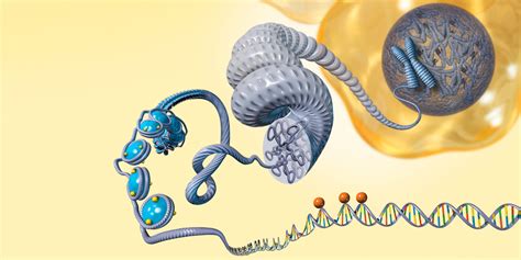 Laird Lab On Epigenetic Memory In Plos Genetics Uw Biology