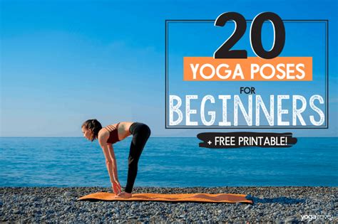 20 Yoga Poses For Complete Beginners Yoga Rove