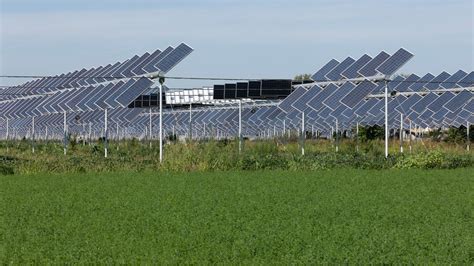 Growing Green Energy The Benefits Of Agrivoltaics On Farms