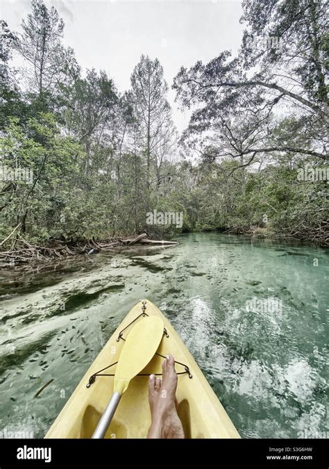 Kayak Florida Springs Hi Res Stock Photography And Images Alamy