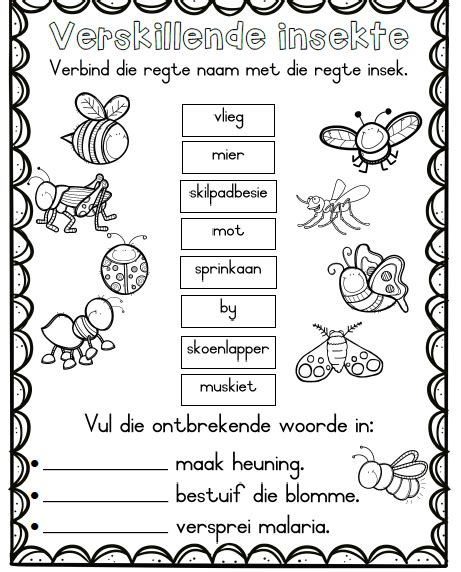 Lewensvaardigheid Graad 3 Werkboek Kwartaal 2 Teacha