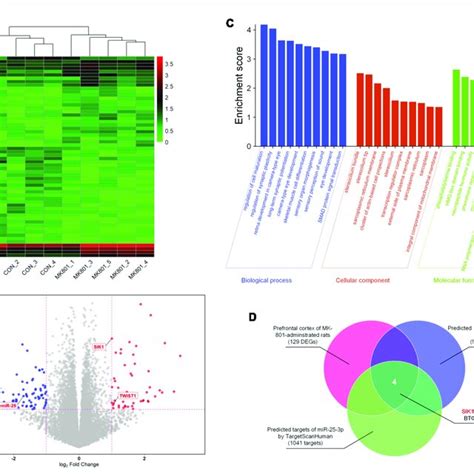 Rna Seq Analysis Of The Differentially Expressed Genes In The Download Scientific Diagram