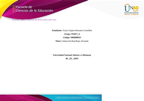 Formato Tarea Informe De Observaci N Parte Uno Yesica Monsalve