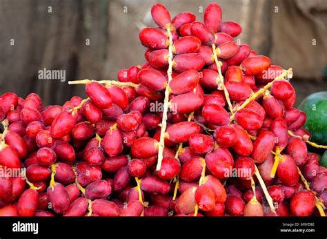 Red fruits, Near Pune, Maharashtra, India Stock Photo - Alamy