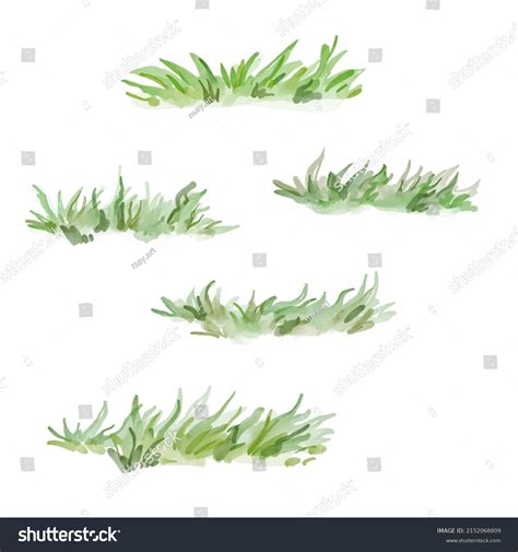 196,363 Watercolor Grass Images, Stock Photos & Vectors | Shutterstock