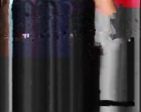 Beautiful Hairy Bush Pussy 2