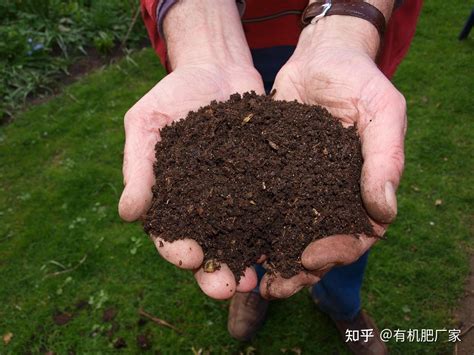 生物有机肥哪家好？ 知乎