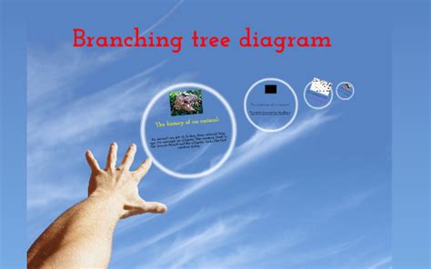 branching tree diagram by Kellen Reinsch on Prezi