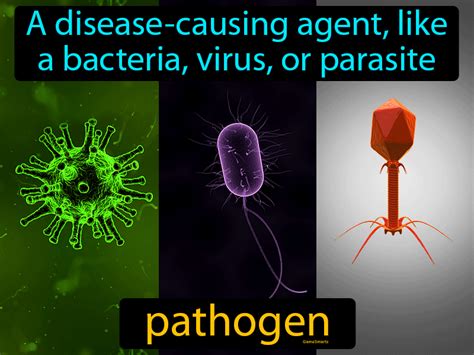 Pathogen Definition & Image | GameSmartz