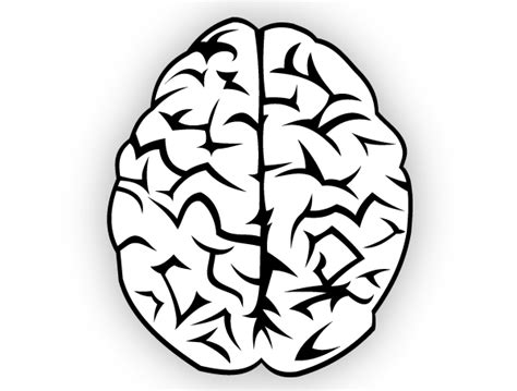 Free Brain Black And White Clipart, Download Free Brain Black And White Clipart png images, Free ...