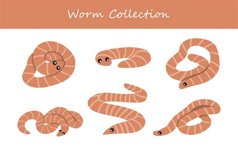 Worm Vector Illustration Set Cute Worm Isolated On White Background