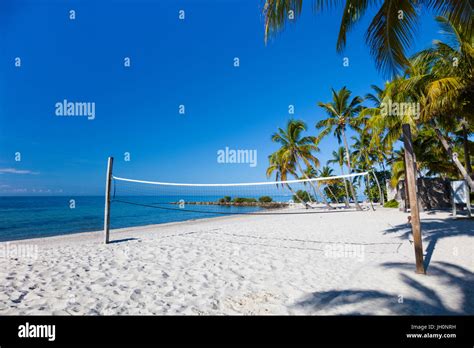 White Beach With Trees Hi Res Stock Photography And Images Alamy