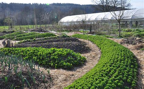 Permaculture And Regenerative Agriculture Systems TractorExport