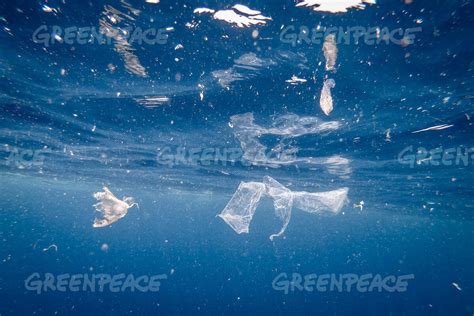 Greenpeace - Plastic Pollution in Tremiti Islands