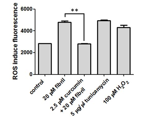 Ros Level Of N2a Cells Determined By Intracellular Ros Assay The