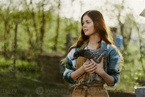 Young Female Zoologist Examines Chicken For Diseases On The Farm