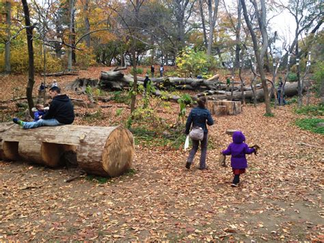 Donald And Barbara Zucker Natural Exploration Area Prospect Park