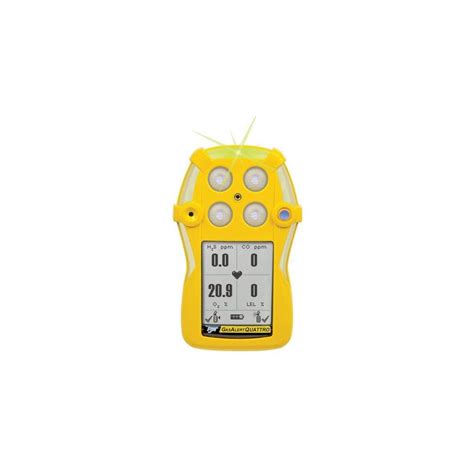 BW GasAlert Quattro Multi Gas Detector For LEL H2S CO O2