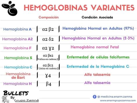 Tipos de Hemoglobina Hematología Escuelas de medicina Cosas de