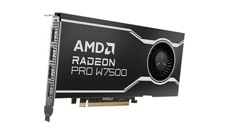 Amd Radeon Pro W7500 Professional Graphics Card 100 30000007