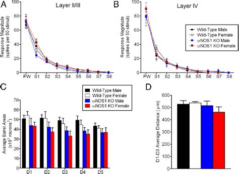 Figure 1 From The Role Of Nitric Oxide Synthase In Cortical Plasticity