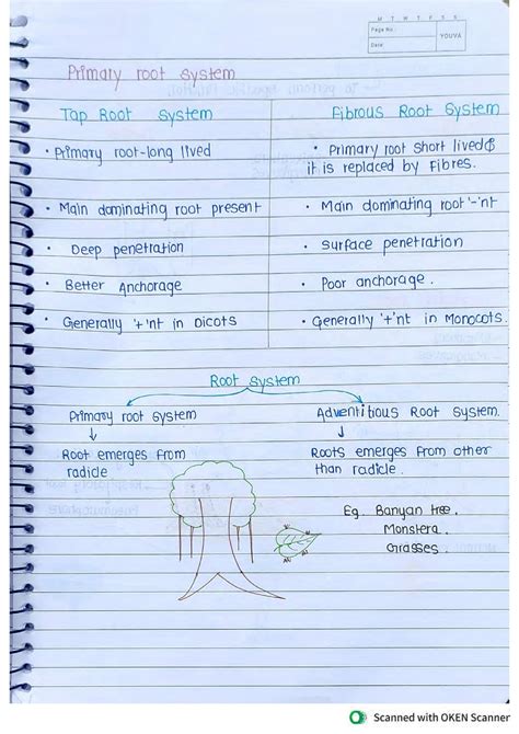solution morphology  flowering plants handwritten notes  studypool