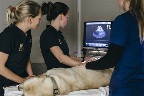 Digital X Ray Ultrasonography Ct