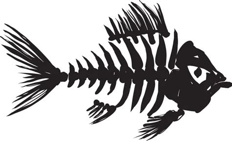 19 371 515 Fish Skeleton Vector Images Depositphotos