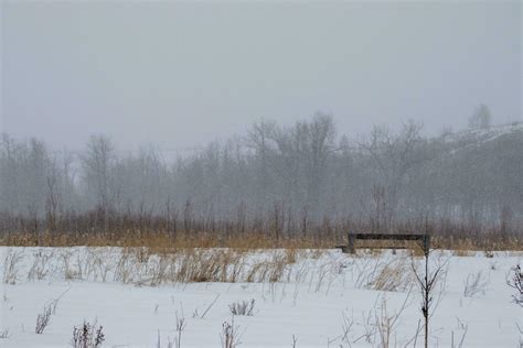 Winter snowy landscape 23251620 Stock Photo at Vecteezy