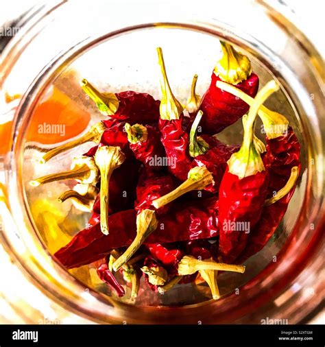 Chilli Cayenne Long Slim Hi Res Stock Photography And Images Alamy