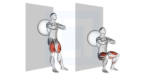 Exercise Ball Wall Squat - Guide, Benefits, and Form