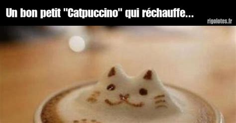 Un bon petit Catpuccino qui réchauffe Blagues et les meilleures