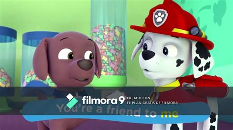 Paw Patrol Friends By Zuma Cachorro Youtube