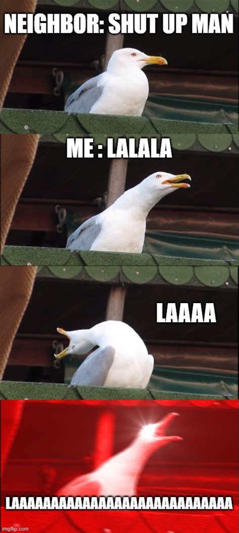 Inhaling Seagull Meme Imgflip