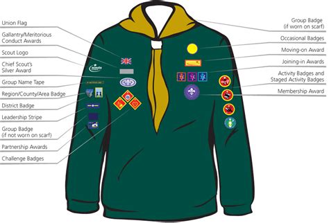 7th Lichfield Scouts - Cubs Badges and Awards