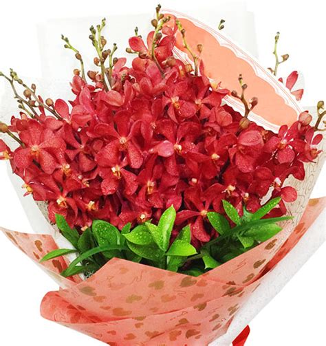 Red Orchids 03, Send Orchids Flowers To Vietnam