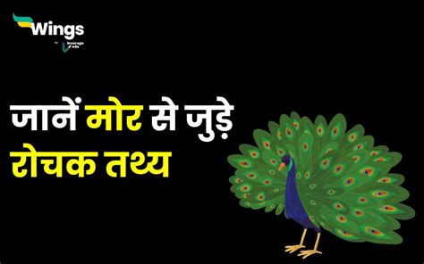 Interesting Facts About Peacock in Hindi : जानिए मोर से जुड़े रोचक तथ्य | leverage edu