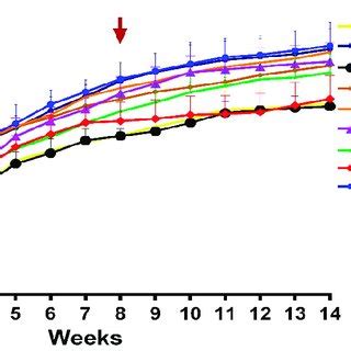 Variation Of Body Weight In Rats With DMBA Induced Breast Cancer And