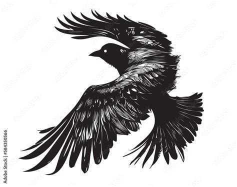 Raven flying silhouette hand drawn sketch illustration Stock Vector ...