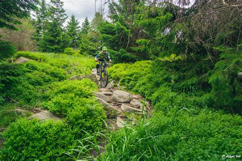 2023 06 25 Harz 1 Michael Topp Flickr